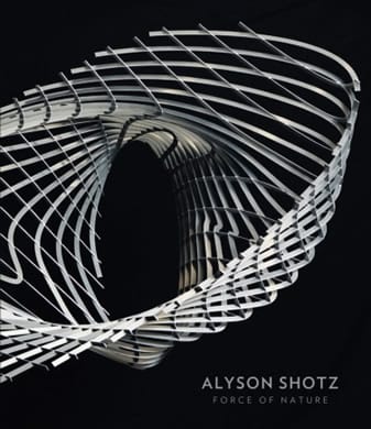 Alyson Shotz: Force of Nature